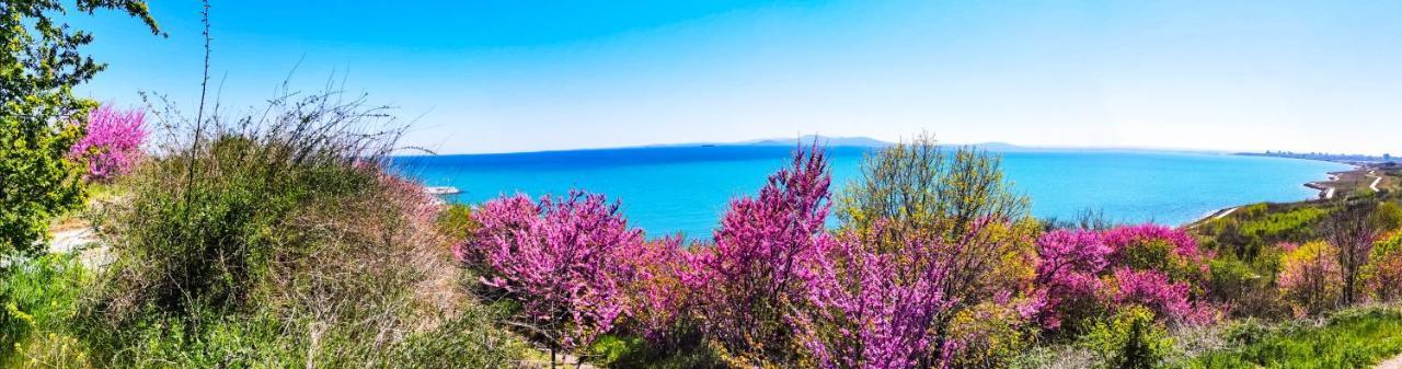 Luxury Apartments Alix Burgas Bagian luar foto