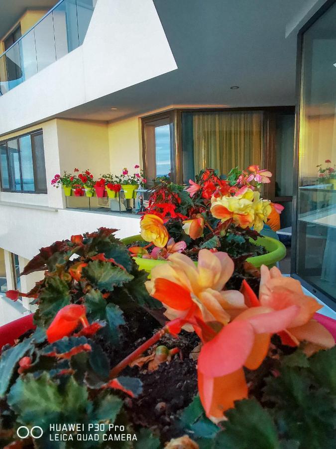 Luxury Apartments Alix Burgas Bagian luar foto